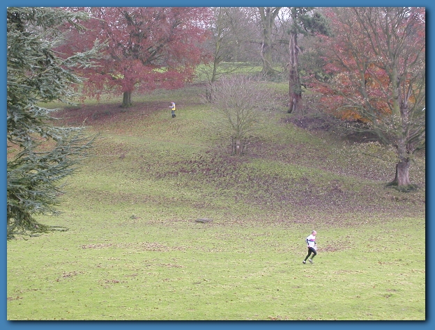602x451 pixels (325K)